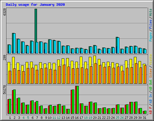 Daily usage for January 2020