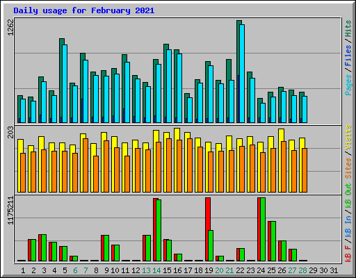 Daily usage for February 2021