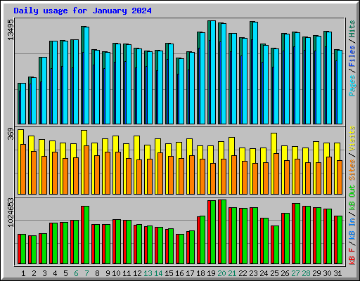 Daily usage for January 2024