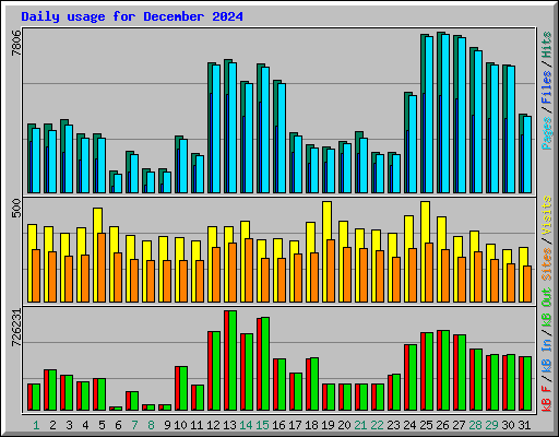 Daily usage for December 2024