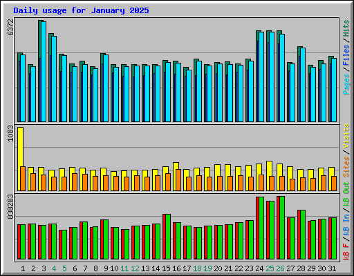 Daily usage for January 2025