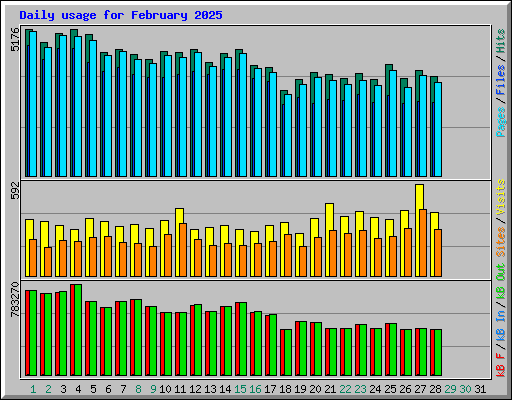 Daily usage for February 2025