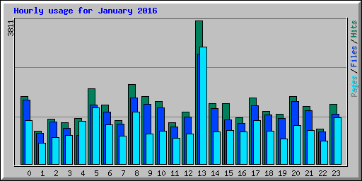 Hourly usage for January 2016
