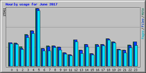 Hourly usage for June 2017