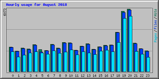 Hourly usage for August 2018