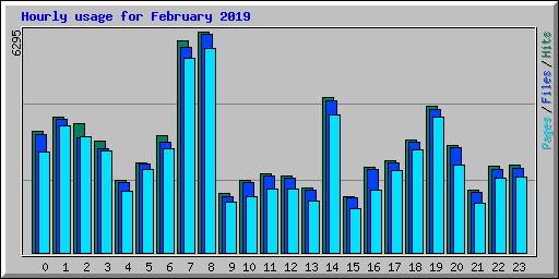 Hourly usage for February 2019