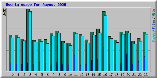 Hourly usage for August 2020