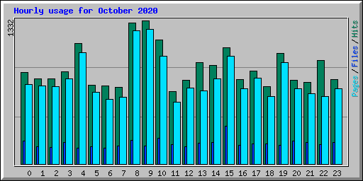 Hourly usage for October 2020