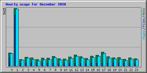 Hourly usage for December 2020
