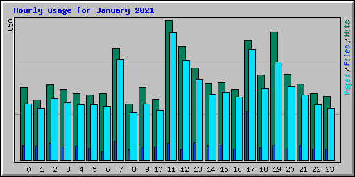 Hourly usage for January 2021