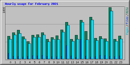 Hourly usage for February 2021
