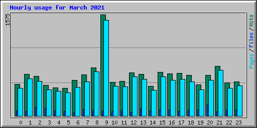 Hourly usage for March 2021