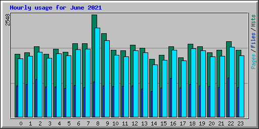 Hourly usage for June 2021