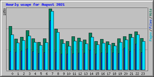 Hourly usage for August 2021