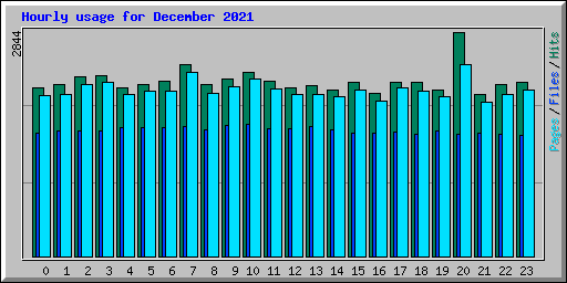 Hourly usage for December 2021
