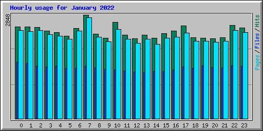 Hourly usage for January 2022