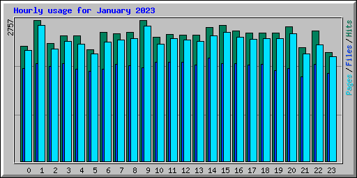 Hourly usage for January 2023