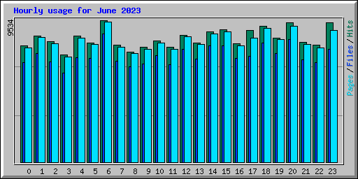 Hourly usage for June 2023