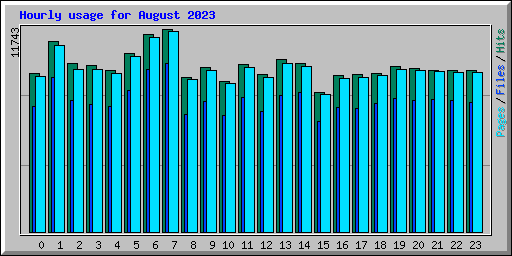 Hourly usage for August 2023