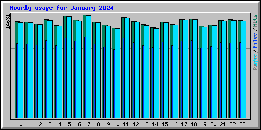 Hourly usage for January 2024