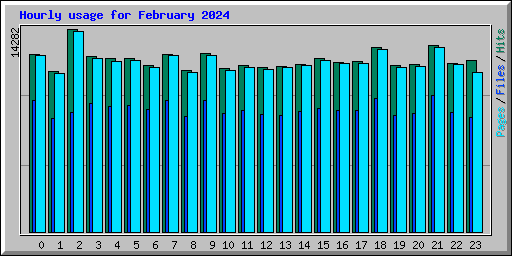 Hourly usage for February 2024