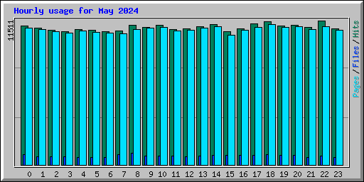 Hourly usage for May 2024