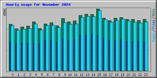 Hourly usage for November 2024