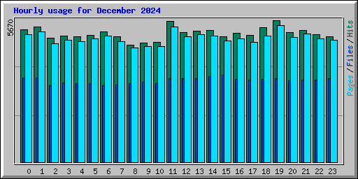 Hourly usage for December 2024