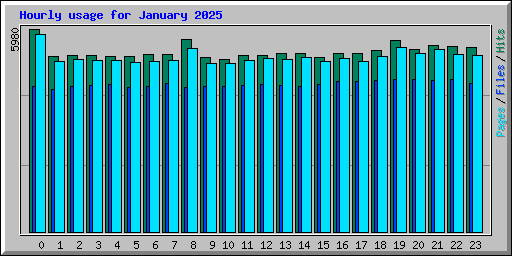 Hourly usage for January 2025