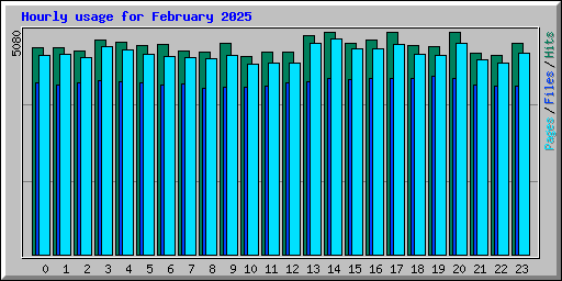 Hourly usage for February 2025