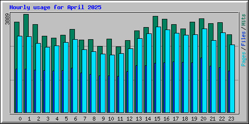 Hourly usage for April 2025