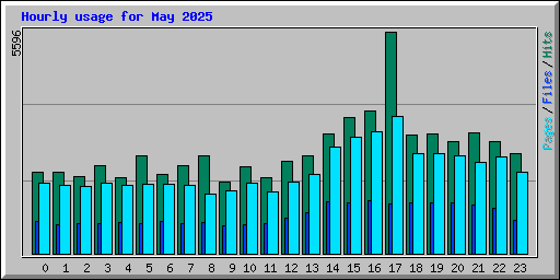 Hourly usage for May 2025