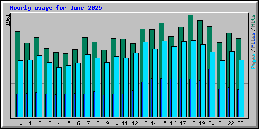 Hourly usage for June 2025