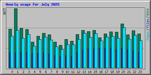Hourly usage for July 2025