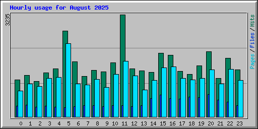 Hourly usage for August 2025