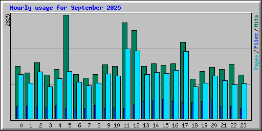 Hourly usage for September 2025