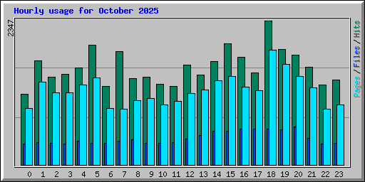 Hourly usage for October 2025