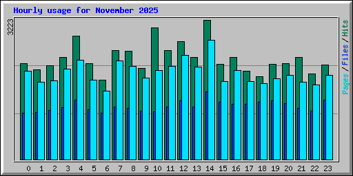 Hourly usage for November 2025