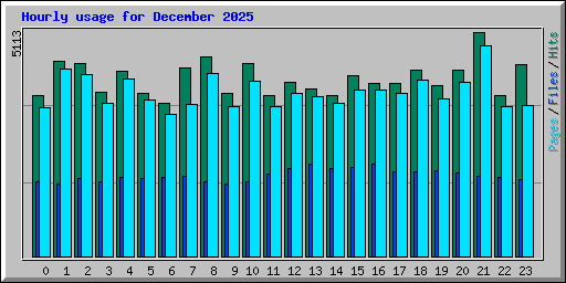 Hourly usage for December 2025