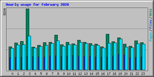 Hourly usage for February 2026