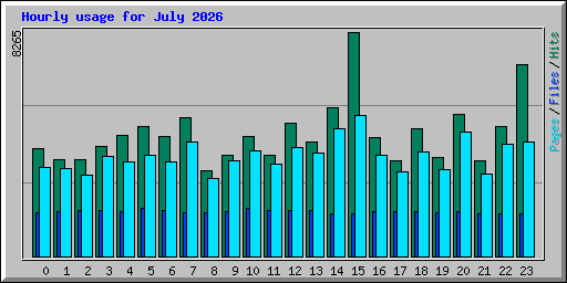 Hourly usage for July 2026