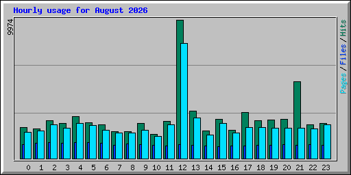 Hourly usage for August 2026