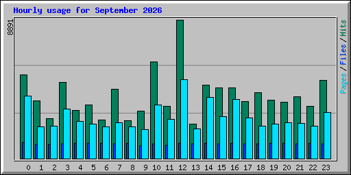 Hourly usage for September 2026